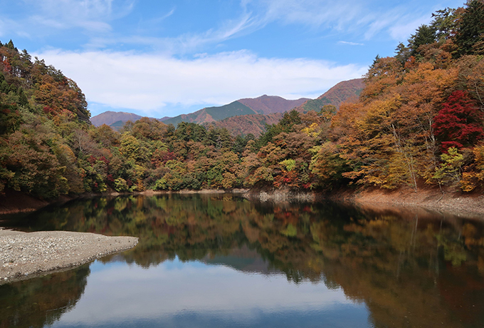 奥多摩湖畔の紅葉