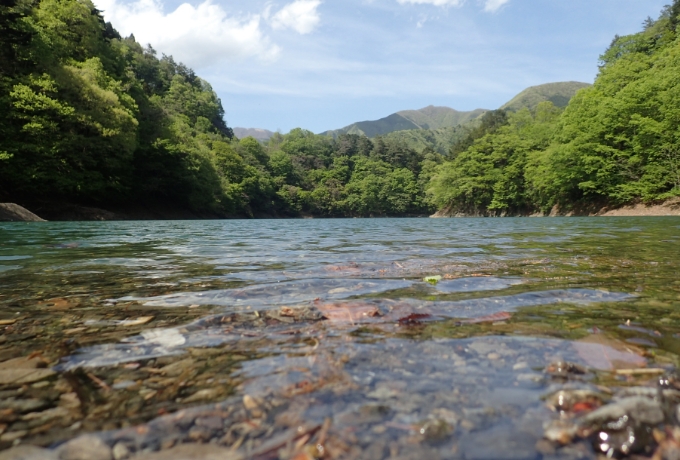奥多摩湖と新緑