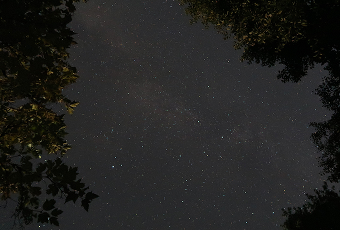 夏の夜空