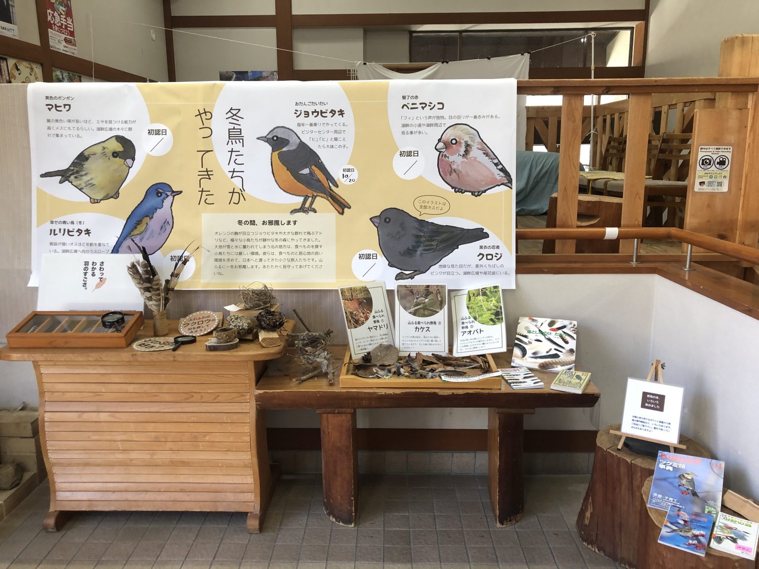 お山の鳥のくらしをのぞきみる展 - イベント - Feel Nature in Tokyo
